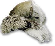 Seal-fur hat - 
985.22.2 - CD95-457-076
