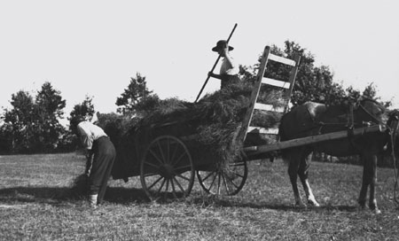 A man and a woman loading hay on a hay wagon, Cap-aux-Os, Qubec, 1922., © CMC/MCC, Marius Barbeau, 57293