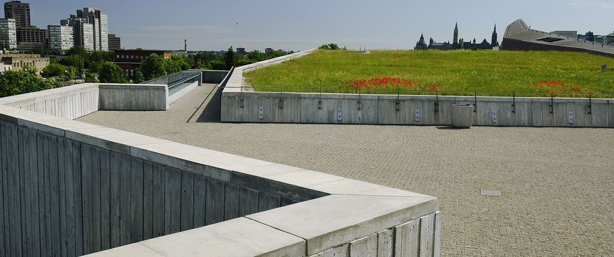 A green roof on top of a concrete wall at the Canadian War Museum.