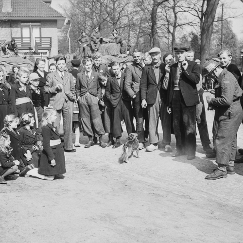 Un groupe de personnes debout devant un char au Musée canadien de la guerre à Ottawa.