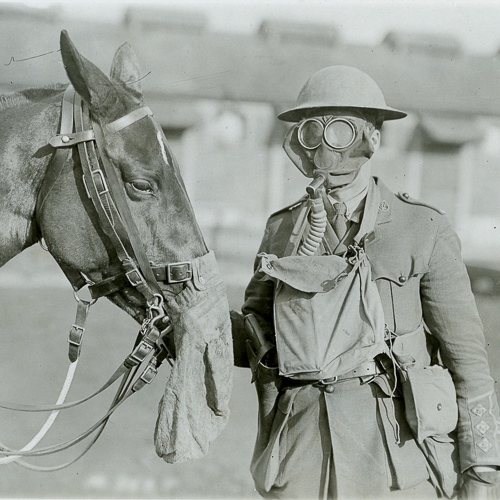 Un homme portant un masque à gaz se tient à côté d'un cheval au Musée canadien de la guerre à Ottawa.